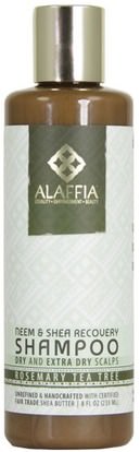 Alaffia, Neem & Shea Recovery Shampoo, Rosemary Tea Tree, 8 fl oz (235 ml) ,حمام، الجمال، الشعر، فروة الرأس، زبدة الشيا، الشامبو، مكيف