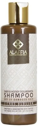 Alaffia, Shea & Honey Nourishing Shampoo, Citrus Blossom, 8 fl oz (235 ml) ,حمام، الجمال، الشعر، فروة الرأس، زبدة الشيا، الشامبو، مكيف