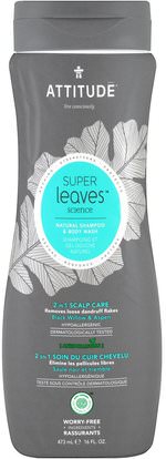 ATTITUDE, Super Leaves Science, Natural Shampoo & Body Wash, 2 in 1 Scalp Care, Black Willow & Aspen, 16 oz (473 ml) ,حمام، الجمال، الشعر، فروة الرأس، رجل العناية بالشعر، الشامبو، مكيف