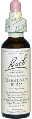 Bach, Original Flower Remedies, Chestnut Bud, 0.7 fl oz (20 ml) ,المكملات الغذائية، المثلية، كستناء الحصان
