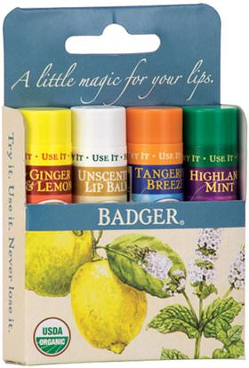 Badger Company, Classic Lip Balm Sticks, Blue Box, 4 Sticks.15 oz (4.2 g) Each ,حمام، الجمال، العناية الشفاه، بلسم الشفاه