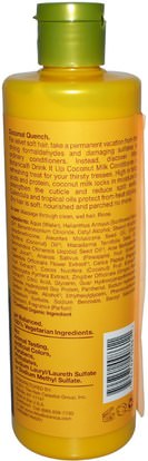 حمام، الجمال، مكيفات، ألبا بوتانيكا هاواي خط Alba Botanica, Natural Hawaiian Conditioner, Drink It up Coconut Milk, 12 oz (340 g)
