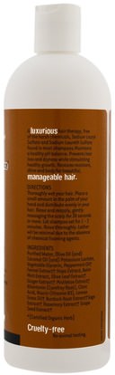 حمام، الجمال، الشعر، فروة الرأس، الشامبو، مكيف Organic Excellence, Shampoo, Revitalizing Hair Therapy, Wild Mint, 16 fl oz (572 ml)