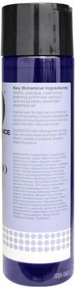 حمام، الجمال، الشامبو، الشعر، فروة الرأس، مكيف EO Products, Daily Shampoo, French Lavender, 8.4 fl oz (250 ml)