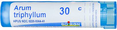 Boiron, Single Remedies, Arum Triphyllum, 30C, Approx 80 Pellets ,والسعال والحلق، والبرد والانفلونزا