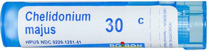Boiron, Single Remedies, Chelidonium Majus, 30C, Approx 80 Pellets ,المكملات الغذائية، المثلية، الإغاثة الغثيان