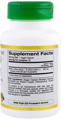 كورن وروهيربس، الأعشاب California Gold Nutrition, CGN, EuroHerbs, Nettle Root Extract, 250 mg, 60 Veggie Caps