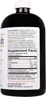Herb-sa Natures Way, Chlorofresh, Liquid Chlorophyll, Mint Flavored, 16 fl oz (473.2 ml)