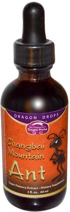 Dragon Herbs, Changbai Mountain Ant, Super Potency Extract, 2 fl oz (60 ml) ,الصحة