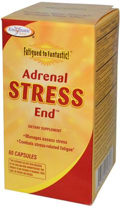 Enzymatic Therapy, Fatigued to Fantastic!, Adrenal Stress End, 60 Capsules ,المكملات الغذائية، الكظرية