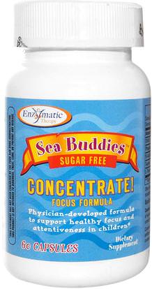Enzymatic Therapy, Sea Buddies, Concentrate!, Focus Formula, Sugar Free, 60 Capsules ,المكملات الغذائية، دماي