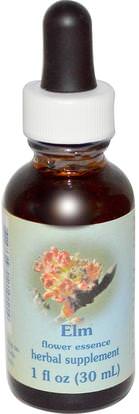 Flower Essence Services, Elm, Flower Essence, 1 fl oz (30 ml) ,Herb-sa