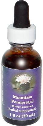 Flower Essence Services, Mountain Pennyroyal, Flower Essence, 1 fl oz (30 ml) ,الأعشاب، بينيريويال