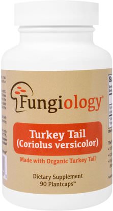 Fungiology, Full-Spectrum Turkey Tail (Coriolus Versicolor), Certified Organic, Cellular Support, 90 Veggie Plantcaps ,المكملات الغذائية، الفطر الطبية، كبسولات الفطر، ذيل تركيا (كوريولوس المبرقشة بسك) الفطر
