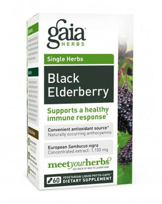 Gaia Herbs, Black Elderberry, 30 Vegetarian Liquid Phyto-Caps ,الصحة، الإنفلونزا الباردة والفيروسية، إلديربيري (سامبوكوس)
