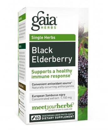 Gaia Herbs, Black Elderberry, 60 Vegetarian Liquid Phyto-Caps ,الصحة، الإنفلونزا الباردة والفيروسية، إلديربيري (سامبوكوس)