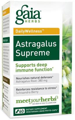 Gaia Herbs, DailyWellness, Astragalus Supreme, 60 Vegetarian Liquid Phyto-Caps ,المكملات الغذائية، أدابتوغن، مكافحة الشيخوخة