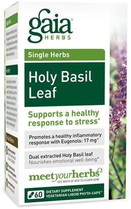 Gaia Herbs, Holy Basil Leaf, 60 Vegetarian Liquid Phyto-Caps ,المكملات الغذائية، أدابتوغين، الريحان المقدس