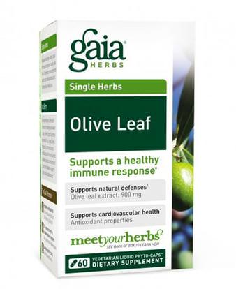 Gaia Herbs, Olive Leaf, 60 Vegetarian Liquid Phyto-Caps ,الصحة، إنفلونزا البرد، &، فيروسي، ورقة للنبات الزيتون