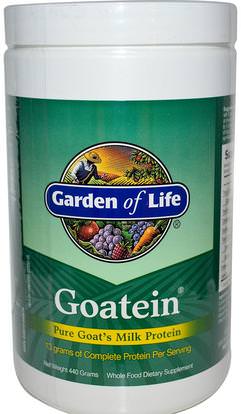 Garden of Life, Goatein, Pure Goats Milk Protein, 440 g ,المكملات الغذائية، البروتين، بروتين حليب الماعز