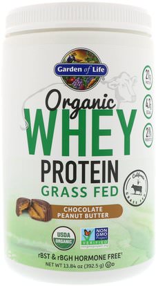 Garden of Life, Organic Whey Protein Grass-Fed, Chocolate Peanut Butter, 13.84 oz (392.5 g) ,والرياضة، والمكملات الغذائية، بروتين مصل اللبن