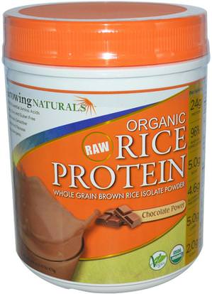 Growing Naturals, Organic Raw Rice Protein, Chocolate Power, 16.8 oz (476 g) ,المكملات الغذائية، البروتين، مسحوق بروتين الأرز