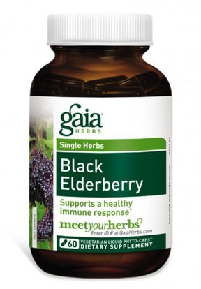 الصحة، الإنفلونزا الباردة والفيروسية، إلديربيري (سامبوكوس) Gaia Herbs, Black Elderberry, 60 Vegetarian Liquid Phyto-Caps
