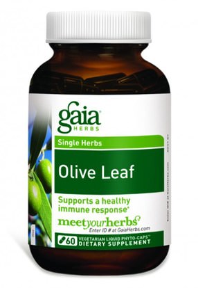 الصحة، إنفلونزا البرد، &، فيروسي، ورقة للنبات الزيتون Gaia Herbs, Olive Leaf, 60 Vegetarian Liquid Phyto-Caps