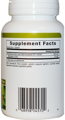 الصحة، إنفلونزا البرد، &، فيروسي، ورقة للنبات الزيتون Natural Factors, Olive Leaf, 500 mg, 90 Capsules