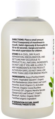 والصحة، وجفاف الفم، ورعاية الفم والأسنان Dr. Brite, Cleansing Mouth Rinse, Mint, 8 fl oz (236.58 ml)