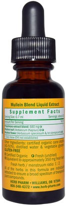 الصحة، الرئة و الشعب الهوائية، مولين Herb Pharm, Mullein Blend, 1 fl oz (30 ml)