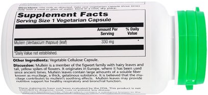 الصحة، الرئة و الشعب الهوائية، مولين Solaray, Mullein, 330 mg, 100 Veggie Caps