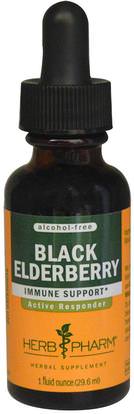 Herb Pharm, Black Elderberry, Alcohol-Free, 1 fl oz (29.6 ml) ,الصحة، الإنفلونزا الباردة والفيروسية، إلديربيري (سامبوكوس)