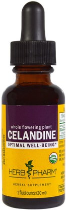 Herb Pharm, Celandine, 1 fl oz (30 ml) ,الأعشاب، الخطاطيف