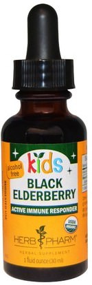 Herb Pharm, Kids, Black Elderberry, Alcohol Free, 1 fl oz (30 ml) ,والصحة، والانفلونزا الباردة والفيروسية، كباب (سامبوكوس)، صحة الأطفال، والعلاجات العشبية للأطفال