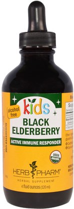 Herb Pharm, Kids Black Elderberry, Alcohol Free, 4 fl oz (120 ml) ,صحة الأطفال، العلاجات العشبية للأطفال