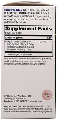 الأعشاب، الجنكة بيلوبا، الجنكة Natures Way, Ginkgold Max, 120 mg, 60 Tablets