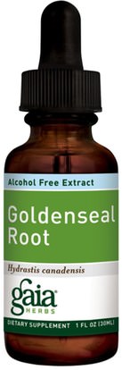 الأعشاب، الجذر غولدنسال Gaia Herbs, Goldenseal Root, Alcohol Free Extract, 1 fl oz (30 ml)