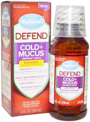 Hylands, Defend, Cold + Mucus, 4 fl oz (118 ml) ,المكملات الغذائية، المثلية، الانفلونزا الباردة والفيروسية، البرد والانفلونزا