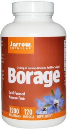 Jarrow Formulas, Borage, GLA-240, 1200 mg, 120 Softgels ,المكملات الغذائية، إيفا أوميجا 3 6 9 (إيبا دا)، زيت بوريج