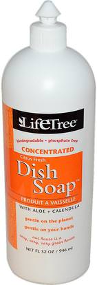Life Tree, Dish Soap, Citrus Fresh, 32 oz (946 ml) ,المنزل، غسل الصحون، صحن الصابون