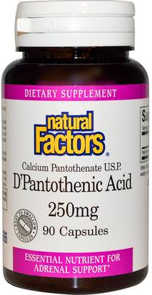 Natural Factors, DPantothenic Acid, 250 mg, 90 Capsules ,الفيتامينات، فيتامين ب، فيتامين b5 - حمض البانتوثنيك