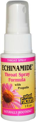 Natural Factors, Echinamide, Throat Spray Formula with Propolis, 1 fl oz ,والصحة، والانفلونزا الباردة والفيروسية، ورعاية الرعاية الحلق والرئة والقصبات الهوائية