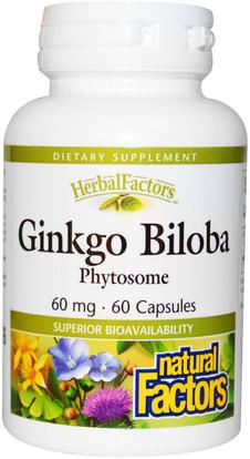 Natural Factors, Ginkgo Biloba, Phytosome, 60 mg, 60 Capsules ,المكملات الغذائية، فيتوسوم، الجنكة بيلوبا