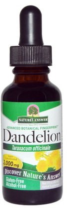 Natures Answer, Dandelion, Alcohol Free, 2,000 mg, 1 fl oz (30 ml) ,الأعشاب، جذر الهندباء من البرية