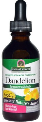 Natures Answer, Dandelion, Low Alcohol, 2,000 mg, 2 fl oz (60 ml) ,الأعشاب، جذر الهندباء من البرية