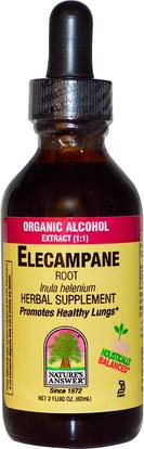 Natures Answer, Elecampane, 2,000 mg, 2 fl oz (60 ml) ,الأعشاب، إليكامبان