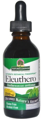 Natures Answer, Eleuthero, Alcohol-Free, 2000 mg, 2 fl oz (60 ml) ,المكملات الغذائية، أدابتوغين، الانفلونزا الباردة والفيروسية، الجينسنغ، إليوثيرو
