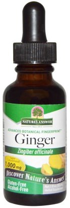 Natures Answer, Ginger, Alcohol-Free, 1,000 mg, 1 fl oz (30 ml) ,الأعشاب، جذر الزنجبيل