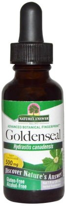Natures Answer, Goldenseal, Alcohol Free, 500 mg, 1 fl oz (30 ml) ,الأعشاب، الجذر غولدنسال